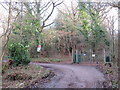 TQ3939 : Driveway through Brown's Wood, near East Grinstead by Malc McDonald