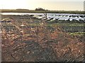 TL3794 : Flooded land on Knight's End Road west of March by Richard Humphrey