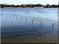 TL3170 : Flooding in St Ives, Winter 2019 - Photo 3/26 by Richard Humphrey