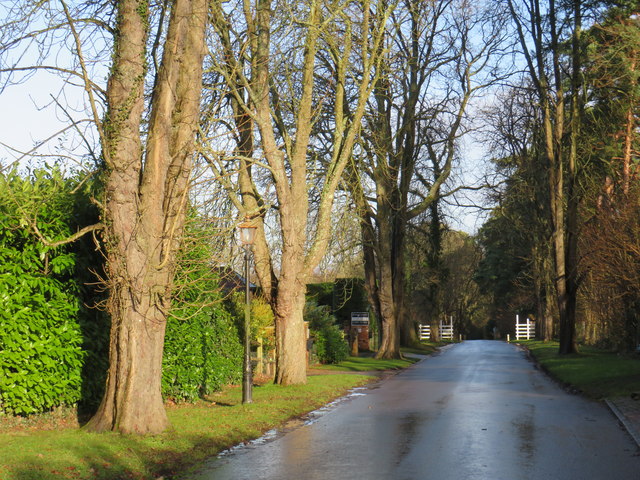 Swissland Hill, Dormans Park near East Grinstead