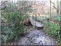 TQ3941 : Bridge across Eden Brook, near Dormans Park by Malc McDonald