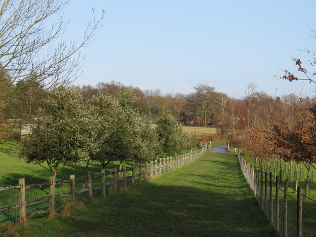 Public footpath near Felcourt