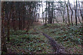 SJ9820 : Footpath on Satnall Hills by Bill Boaden