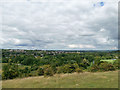 SU4827 : View towards Winchester City Centre from St Catherine's Hill by Phil Champion