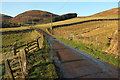 NT9616 : Lane to Linhope by Derek Harper