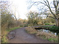 TQ2568 : Bridge over a drain in Morden Hall Park by Malc McDonald