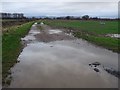 SO8841 : Farmland track near Baughton by Philip Halling