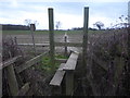 TQ6450 : Stile leading across a muddy field by Marathon