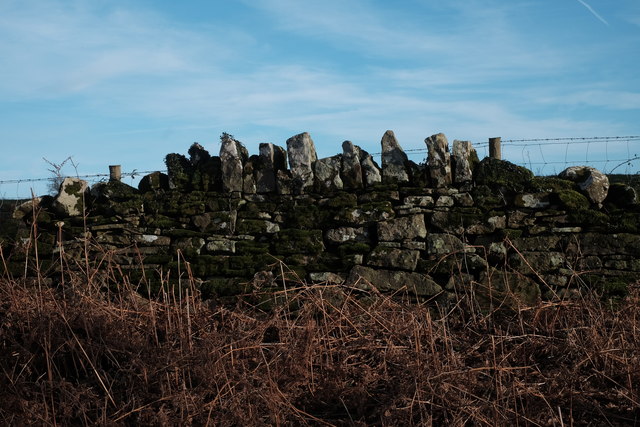 Dry stone wall on Coppet Hill