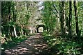 SO6214 : Disused railway bridge on the Family Trail by John Winder