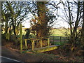 TL5903 : Footpath near Ongar by Malc McDonald