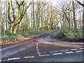 TL6004 : Road through woodland at Norton Heath, near Ongar by Malc McDonald