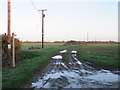 TL6006 : Footpath and telegraph poles near Willingale by Malc McDonald