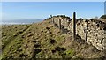 SO9439 : Drystone wall on Bredon Hill by Philip Halling