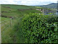 SN0541 : Pembrokeshire Coast Path at Newport Bay by Mat Fascione