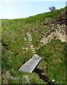 SN0541 : Footbridge and steps along the Pembrokeshire Coast Path by Mat Fascione