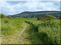 SN0540 : Pembrokeshire Coast Path at The Bennet by Mat Fascione