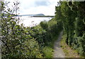 SN0539 : Pembrokeshire Coast Path along the Afon Nyfer by Mat Fascione