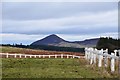 NT4927 : Eildon Mid Hill from the old Selkirk racecourse by Jim Barton