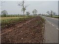 SO7928 : Laid hedge near Staunton by Philip Halling