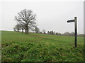 TL4924 : Footpath near Stansted Mountfitchet by Malc McDonald