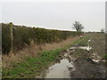 TL4627 : Public bridleway near Manuden by Malc McDonald