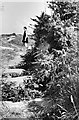 SW4639 : Granite stile on the path from Zennor to St Ives, 1949 by David M Murray-Rust