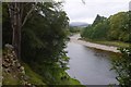 NO5197 : River Dee near Aboyne by Richard Webb