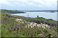 SM8606 : Pembrokeshire coastline at Milford Haven by Mat Fascione