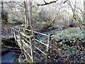 NZ1048 : Footbridge in the wood by Robert Graham