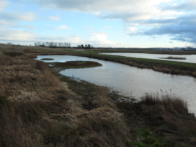 Reception pool and scrape, south-east of reception building