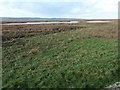 SJ2777 : An hour after low tide, Parkgate by Christine Johnstone