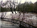 H4772 : Trees immersed in the flooded river, Mullaghmore by Kenneth  Allen