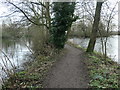 SJ3173 : Burton Mere trail, between Burton Mere and Woodland Pool by Christine Johnstone