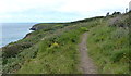 SM7624 : Pembrokeshire Coast Path at Caerfai Bay by Mat Fascione