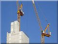 SP0687 : Tower block with cranes, Birmingham by Roger  D Kidd