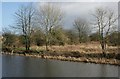 NS6674 : The Antonine Wall adjacent to the Forth and Clyde Canal by Richard Sutcliffe