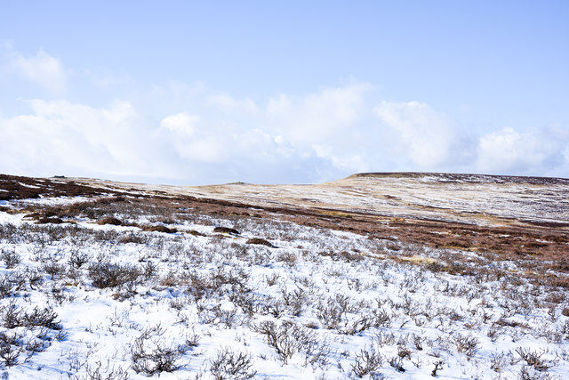 Snow on slope on north side of Long Hill (2)