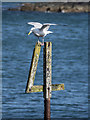 J5082 : Navigation post, Bangor by Rossographer