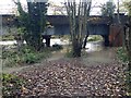 SP2965 : At the railway bridge the Riverside Walk is a riverside paddle, Emscote, Warwick by Robin Stott