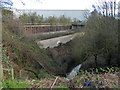 SO9890 : River Tame from the aqueduct on the Gower Branch canal by Chris Allen