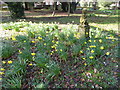 TQ5845 : Cherub in St Stephen's Churchyard, Tonbridge by Marathon