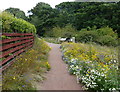 NT1582 : Fife Coastal Path at Hopeward Wood by Mat Fascione