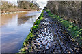 SJ6735 : Muddy Towpath, Shropshire Union Canal by Brian Deegan