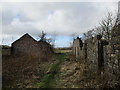 NS8852 : The old farm close, Thornmuir by Alan O'Dowd