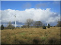 NS8852 : Thornmuir ruins dwarved by wind turbines by Alan O'Dowd