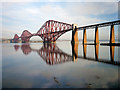 NT1378 : Victorian Splendour - The Forth Bridge by David Dixon