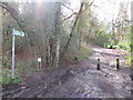 TQ5541 : Public bridleway near Speldhurst by Malc McDonald