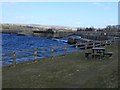 NY9619 : Picnic table at Hury reservoir by Christine Johnstone