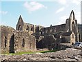 SO5300 : Tintern Abbey - south side by Graham Hogg